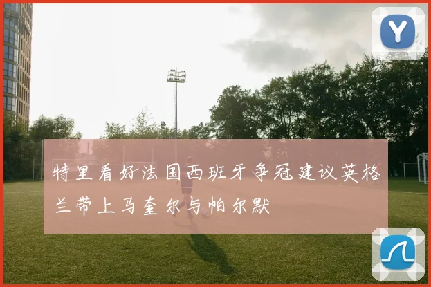 特里看好法国西班牙争冠建议英格兰带上马奎尔与帕尔默
