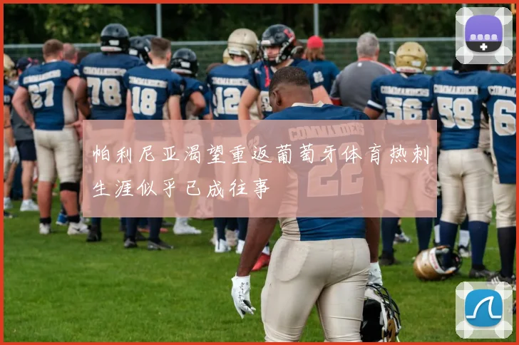 帕利尼亚渴望重返葡萄牙体育热刺生涯似乎已成往事